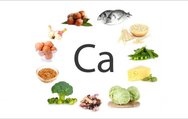 Các loại thực phẩm chứa nhiều canxi Các loại thực phẩm chứa nhiều canxi