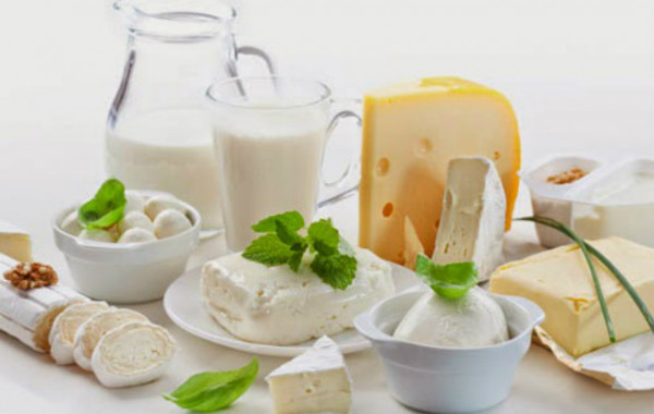Mỗi ngày dùng bao nhiêu sữa, sữa chua, phô mai là đủ? Mỗi ngày dùng bao nhiêu sữa, sữa chua, phô mai là đủ?