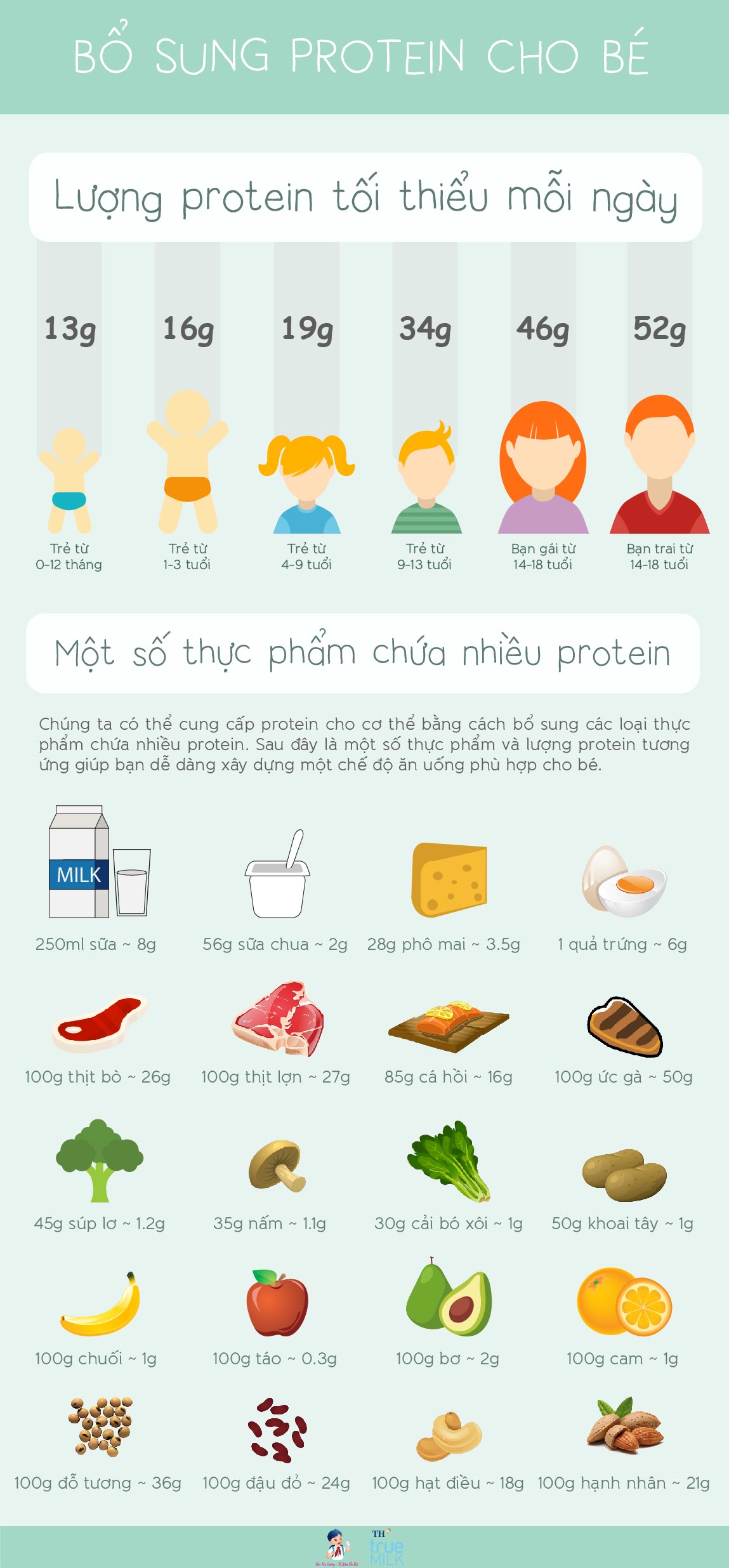 Những thực phẩm chứa nhiều protein