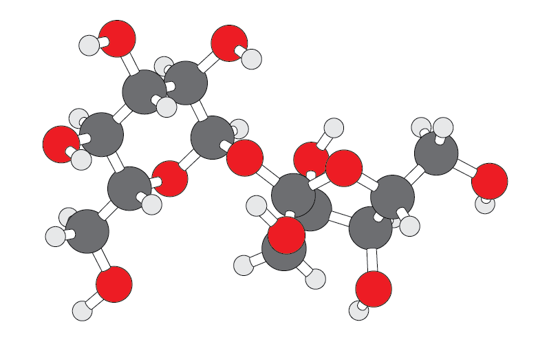 sucrose-molecule-ball-stick-C12H22O11-v1