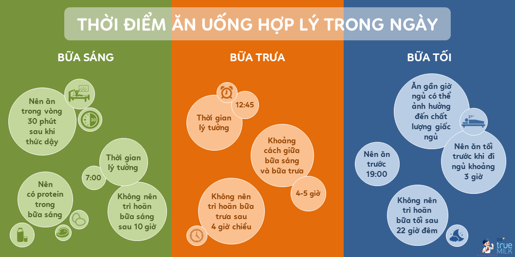 thời điểm ăn uống hợp lý